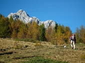 Da Borno in Val Camonica bella traversata Rif. Laeng - Rif. S. Fermo sulle pendici del Pizzo Camino il 19 ottobre 2010 - FOTOGALLERY